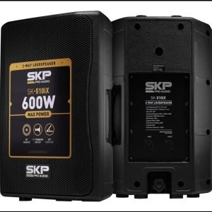 Bafle pasivo 10" 2 vias FR